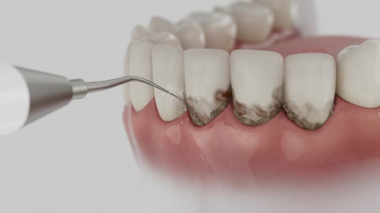 Reliable Dental contractor in Belcourt, ND by Dentist Open Now